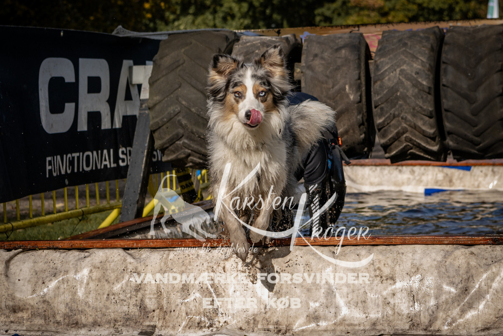 1352_ZZ93278 | kk-dogfotos