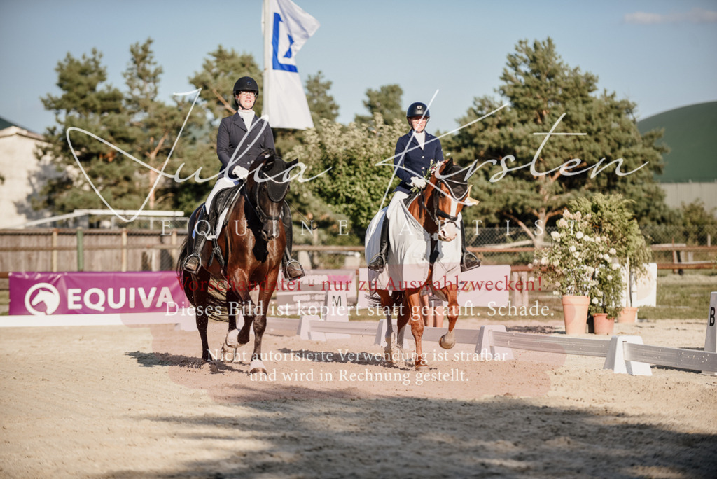DSC_0761 | Pferde- und Turnierfotografie in Westsachsen. Pferdeportraits, Auftragszeichnungen und intuitive Kunst.