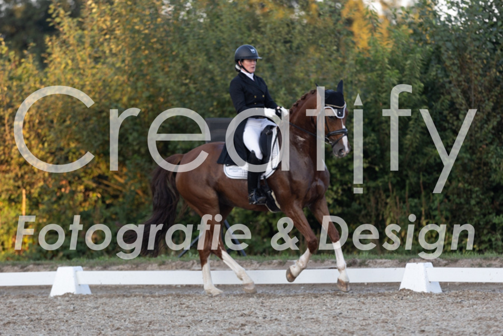 IMG_1884 | Creatify Fotografie