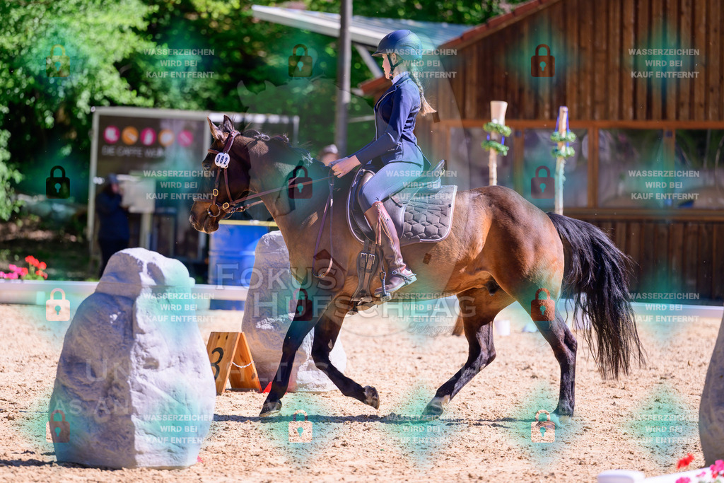01052026-Giesenbach-02-Stiltrail-0656 | Fokus Hufschlag Fotografie - Realisiert mit Pictrs.com