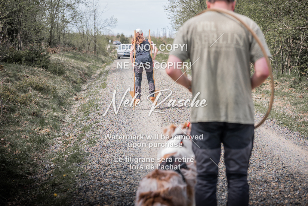 6Z1A1960 | nelerasche