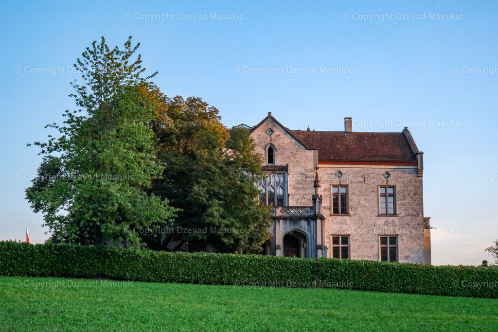 DSCF0491 | Ich fotografiere Landschaften, Produkte und erstelle für Sie Firmenportraits. Engagieren Sie mich für den nächsten Projekt. - Realisiert mit Pictrs.com
