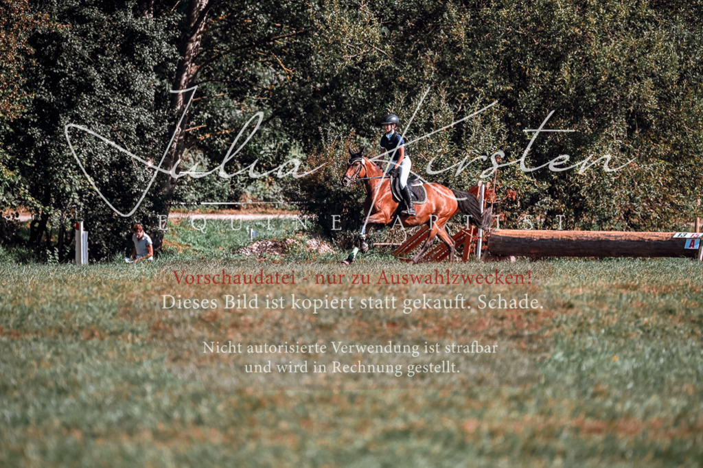DSC_0971 | Pferde- und Turnierfotografie in Westsachsen. Pferdeportraits, Auftragszeichnungen und intuitive Kunst.