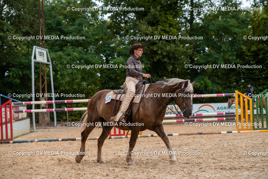 ZS2_7880 | dv-media-shop - Realisiert mit Pictrs.com