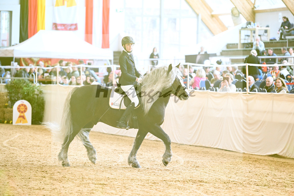 Schauprogramm Schwarzwaelder_HLG Marbach_2251467 | hf-fotografie - Realisiert mit Pictrs.com