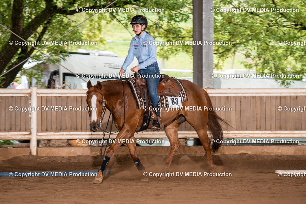 Erbach Tag 2-435 | dv-media-shop - Realisiert mit Pictrs.com