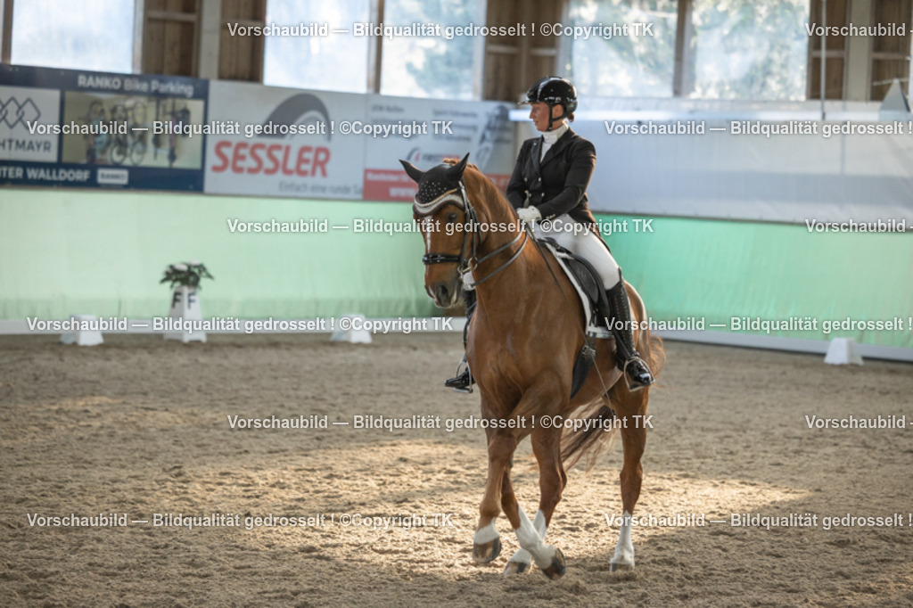 _D5A0854 | Emotionale Pferde- & People-Fotografie rund um Heidelberg, Leimen & Umgebung. Natürliche Fotos von Pferd, Mensch & Familie. Jetzt Termin sichern!