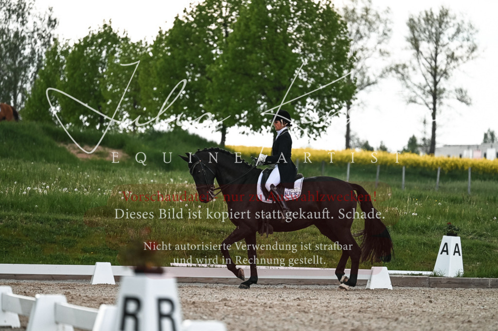 20230514_JK-Röhrsdorf-21-440 | Pferde- und Turnierfotografie in Westsachsen. Pferdeportraits, Auftragszeichnungen und intuitive Kunst.