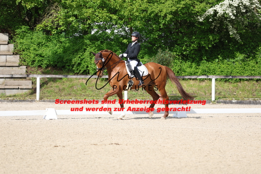 A40A3948 | lmwpictures - Realisiert mit Pictrs.com