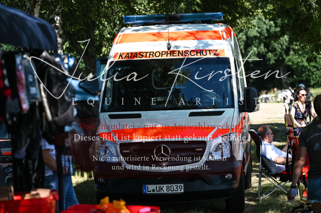 DSC_1826 | Pferde- und Turnierfotografie in Westsachsen. Pferdeportraits, Auftragszeichnungen und intuitive Kunst.