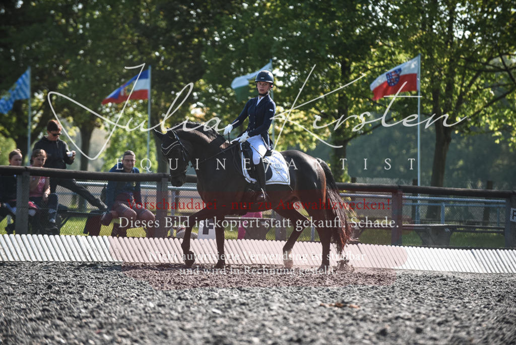 DSC_8558 | Pferde- und Turnierfotografie in Westsachsen. Pferdeportraits, Auftragszeichnungen und intuitive Kunst.