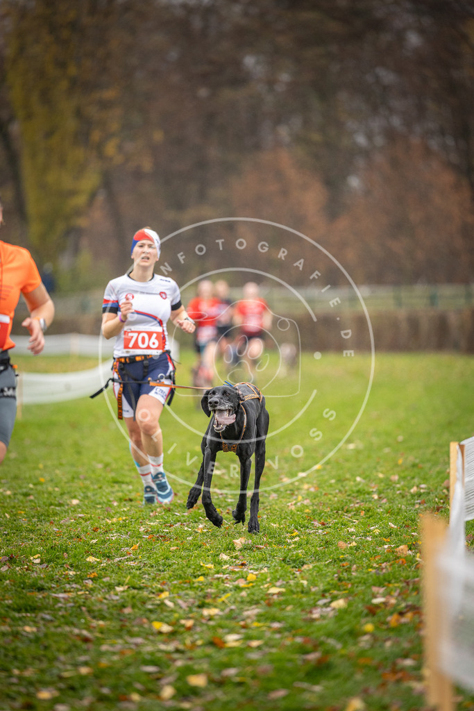 CaniXpix_DV3A9247 | Hundefotografie, Tierfotograf, Pfotenfotografie, Fotoshooting Hund, Hunde Portrait, Hundesport, Hundeportraits, Heideshooting, Hunde, Sportfotograf, Hundefotograf, Turnierhundsport, THS,  - Realisiert mit Pictrs.com