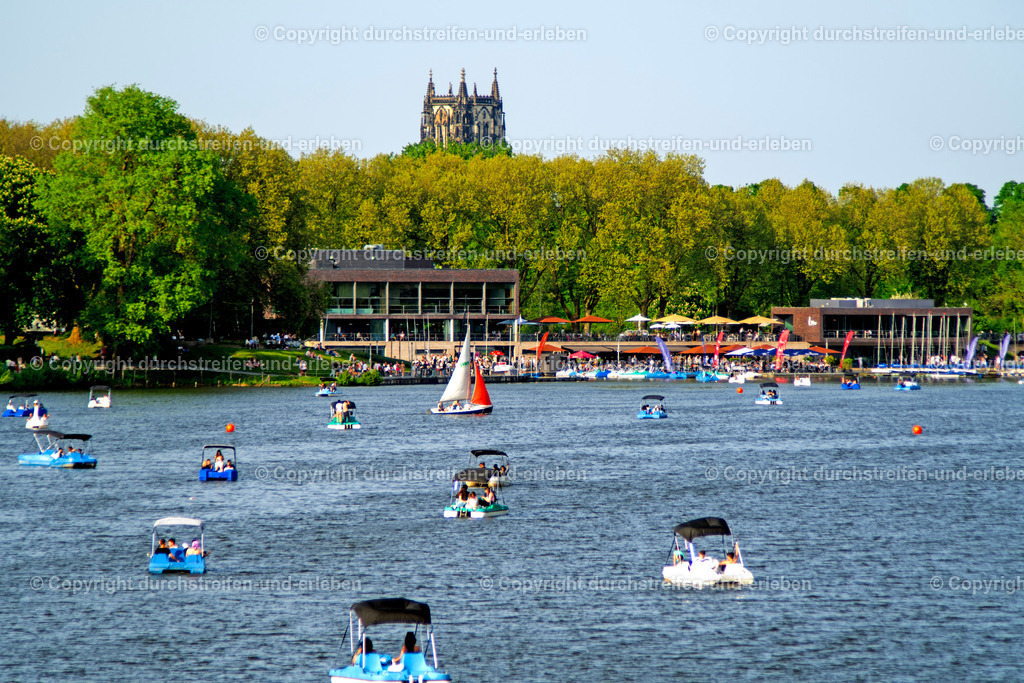 Rudelbildung von Tretbooten auf dem Aasee | Rudelbildung von Tretbooten auf dem Aasee in Münster. Im Hintergrund: die Überwasserkirche, eines der Wahrzeichen Münsters in Westfalen. - Realisiert mit Pictrs.com