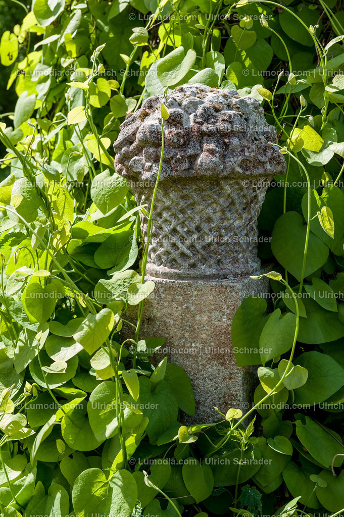 10049-1649 - Stadtpark Tangerhütte | Stockfoto und Bilderpool mit Bildmaterial aus Deutschland, dem Harz, Halberstadt, Quedlinburg, Wernigerode und weltweit. Qualitativ hochwertige und professionelle Fotos anschauen und kaufen. - Realisiert mit Pictrs.com