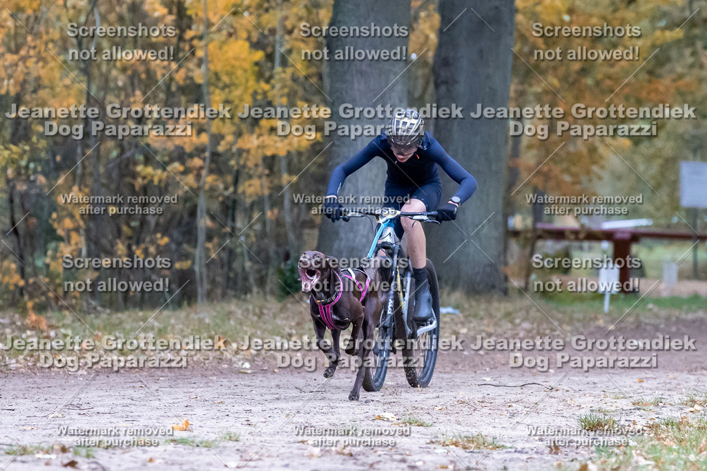 Dog Paparazzi - SD CaniX Championship 2025-291 | Dog Paparazzi Jeanette Grottendiek Fotografie & Videografie - Realisiert mit Pictrs.com