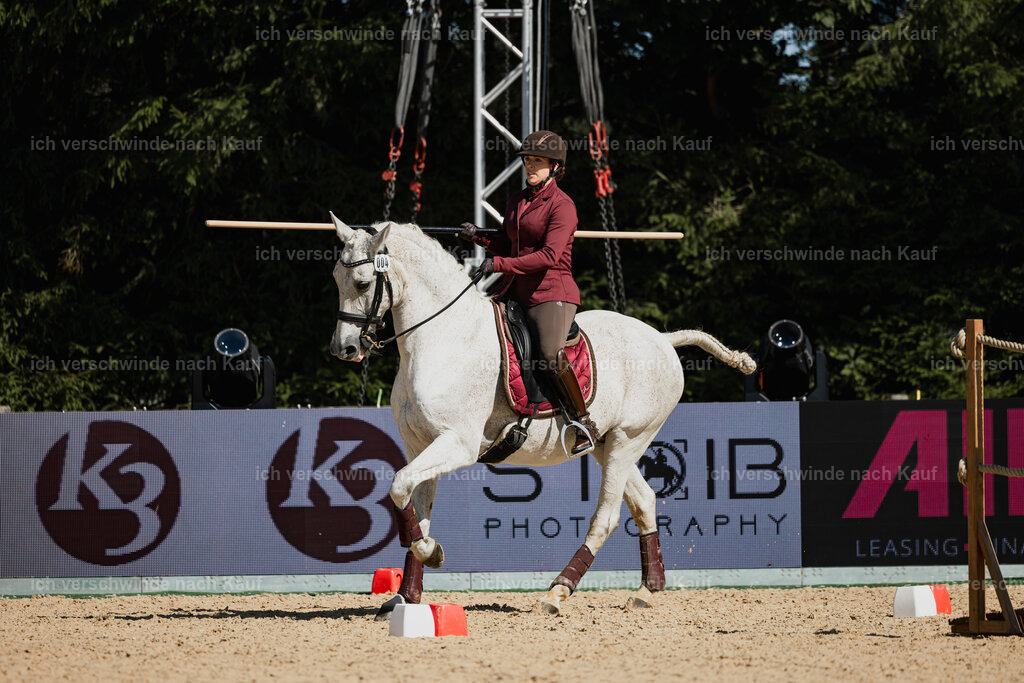 Kelly4_FHC2025-27460 | working equitationturnier fotograf videograf stoibphotography marixx film working equitation deutschland reitsport turnierfotografie eventfotografie equestrian events