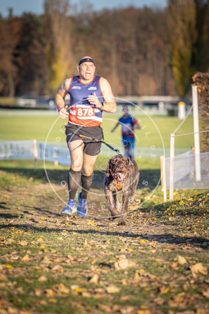 CaniXpix_DV3A4294 | Hundefotografie, Tierfotograf, Pfotenfotografie, Fotoshooting Hund, Hunde Portrait, Hundesport, Hundeportraits, Heideshooting, Hunde, Sportfotograf, Hundefotograf, Turnierhundsport, THS,  - Realisiert mit Pictrs.com
