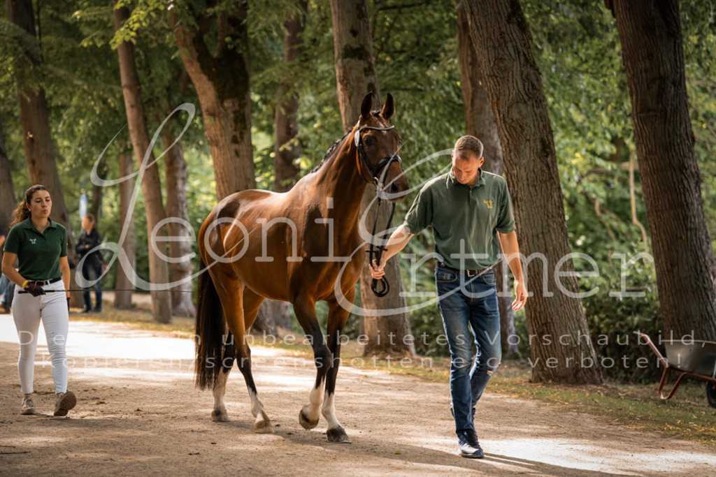 FrPfM00144 | Leoni Ertmer Photography - Realisiert mit Pictrs.com