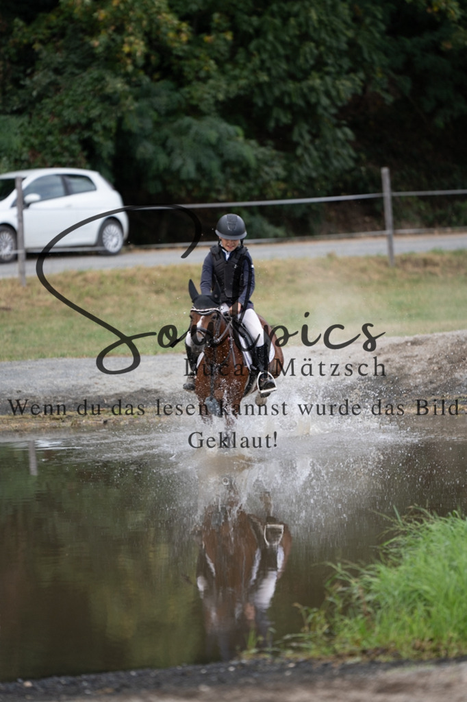 A7V01522 | Pferdefotograf