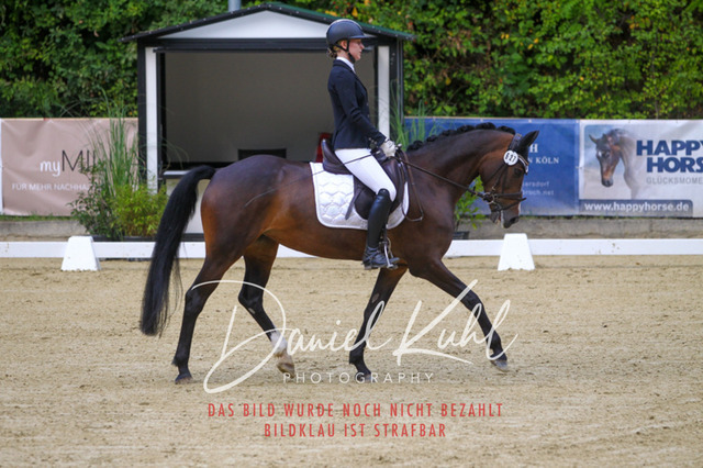 DKP40979 | Turniersportfotografie; Pferdefotografie; Dressurfotografie