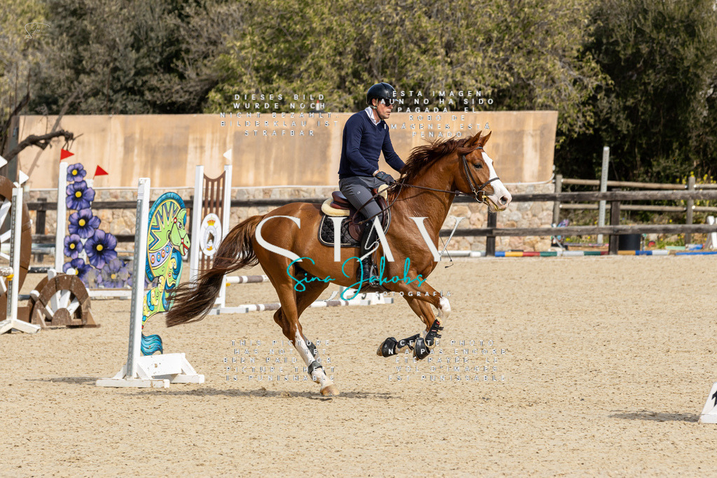 IMG_3253 | s-jay-photography - Realized with Pictrs.com