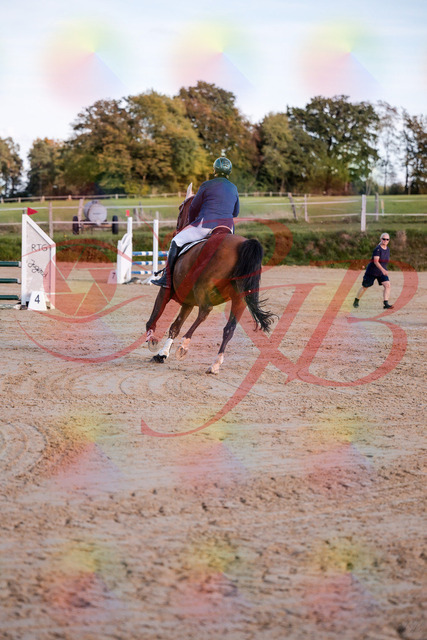 2026_10_03_Siefer-Hof_170401_Z81_00857224 | Professionelle Reitsport-, Turnier- und Eventfotografie von Robert Broda. Galerien mit ausgewählten und bearbeiteten Bildern direkt online ansehen und bestellen.