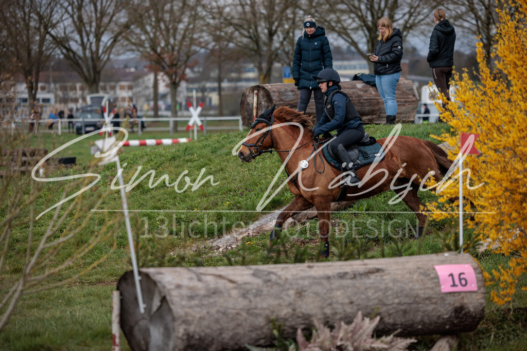 20260329-_3LI4452 | Tierfotografie Pferde, Hunde, Katzen, Haustiere.
Turnierfotografie Reitturniere, Reiten, Springreiten, Dressur in Hanau, dem Main-Kinzig-Kreis und dem Rhein-Main- Gebiet um Frankfurt