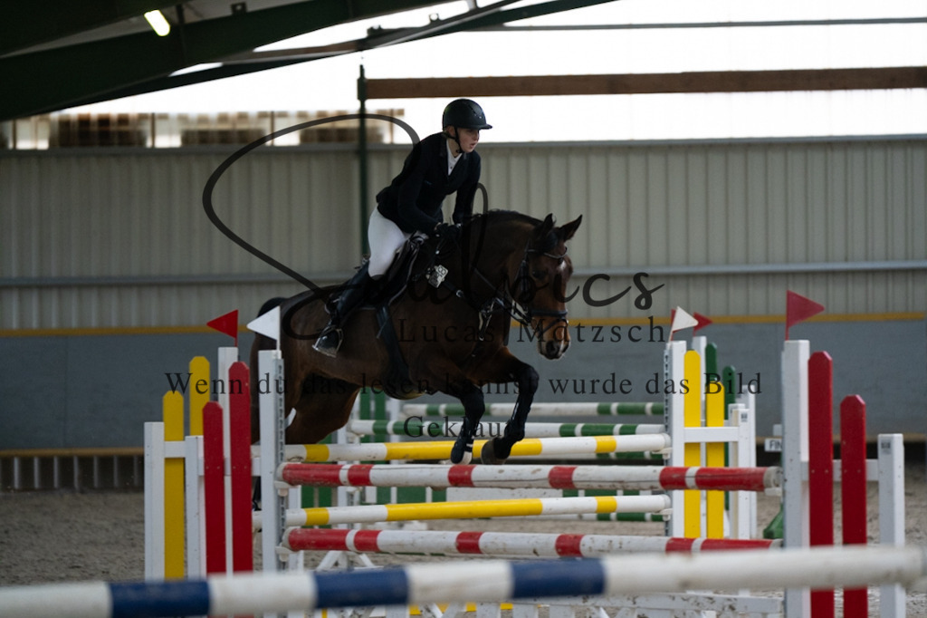 A7V08834 | Pferdefotograf