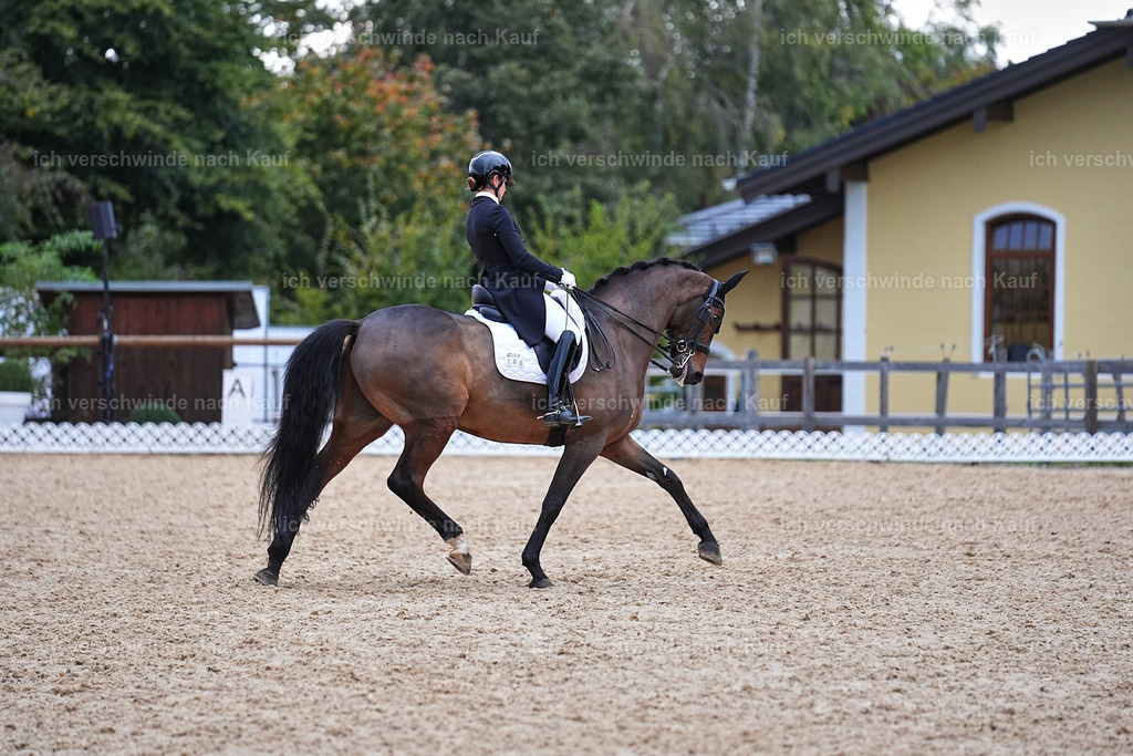 12-186-DRESSUR  S___  -Marixx-5255 | working equitationturnier fotograf videograf stoibphotography marixx film working equitation deutschland reitsport turnierfotografie eventfotografie equestrian events
