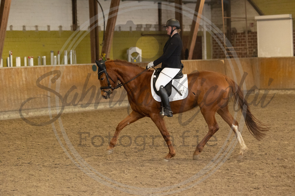 994A9382 | sabrinanicolaifotografie - Realisiert mit Pictrs.com