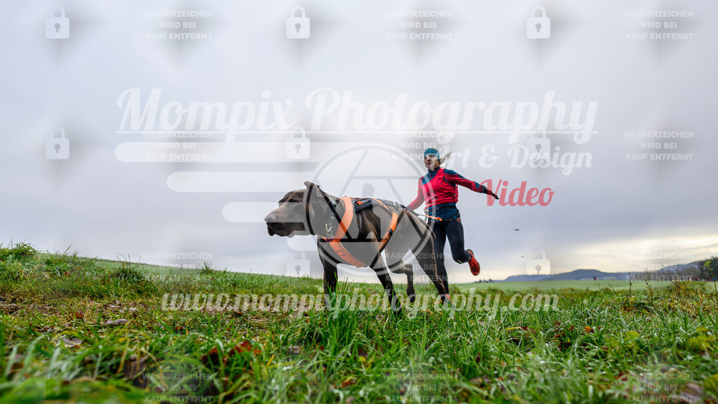 MompixPhotography_Staufertrail2024_SO_Canicross-12 | PayLife