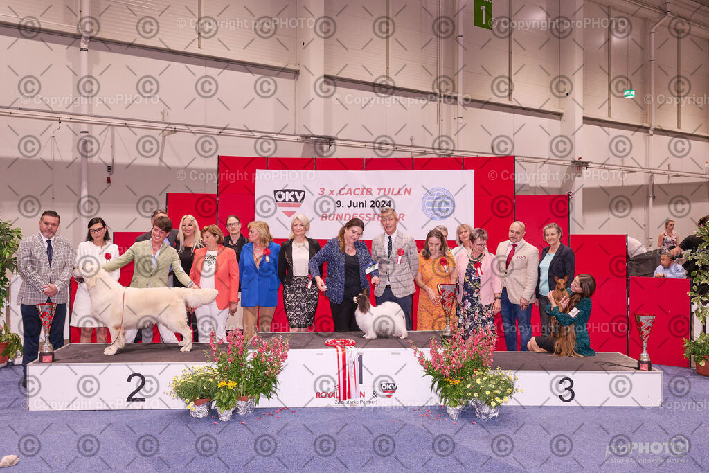 202406_ÖKV-IHA-Tulln24_NZ9_9620 | proPHOTO - Realisiert mit Pictrs.com