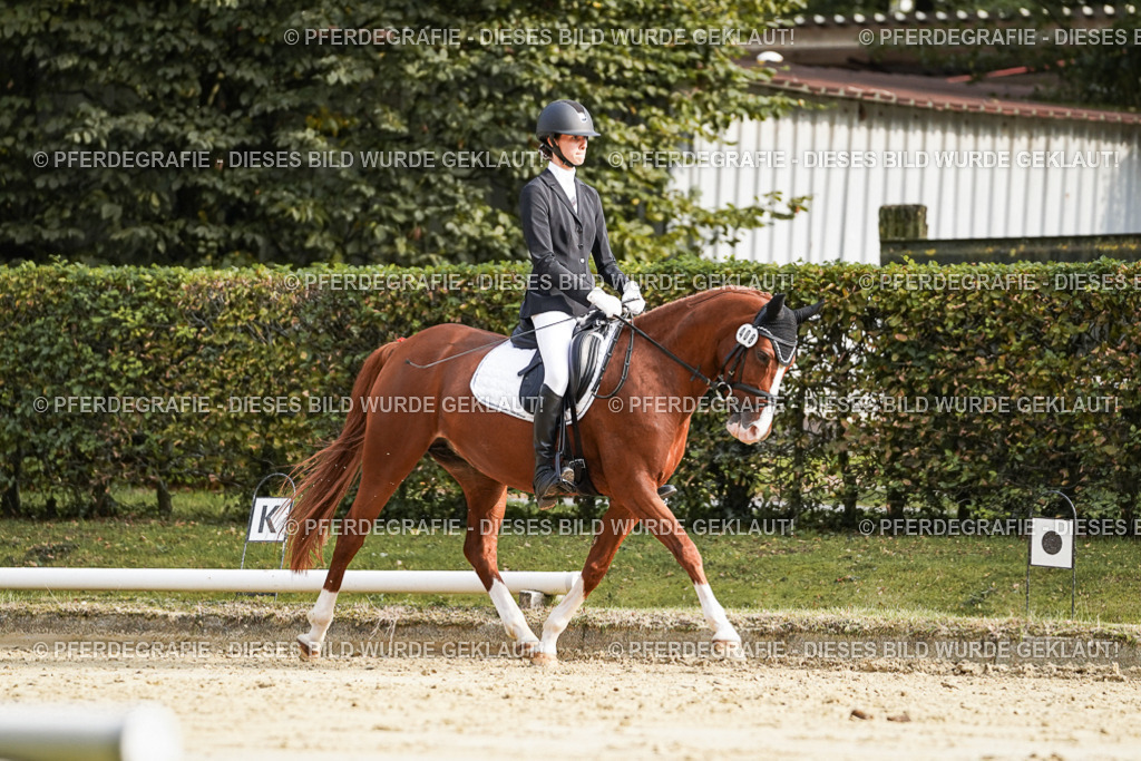 DSC05884 | Pferdegrafie