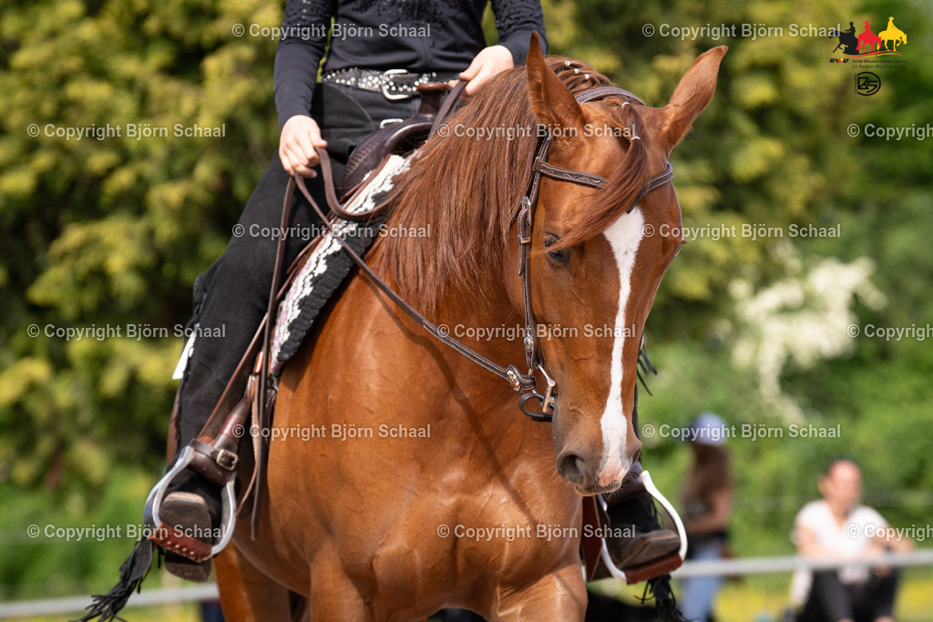 LMB08971 | BS-foto
