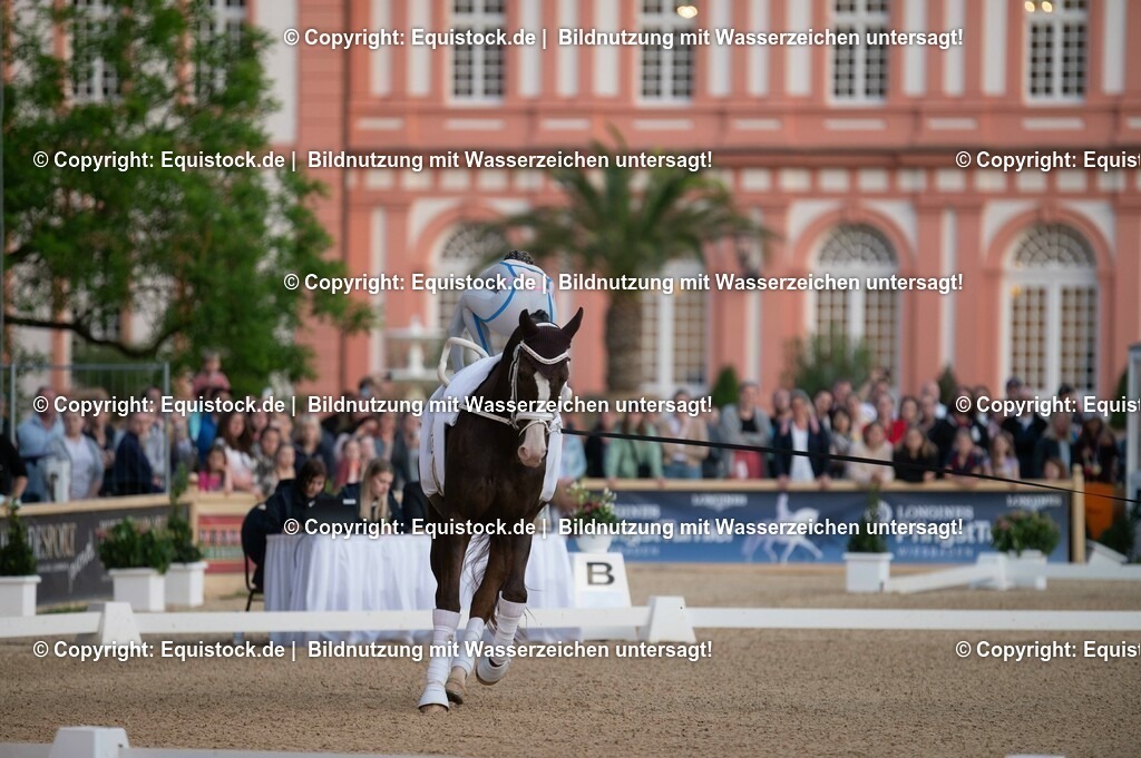 20230527_Voltigieren_NASPA_Flutlicht_0026 | equistock