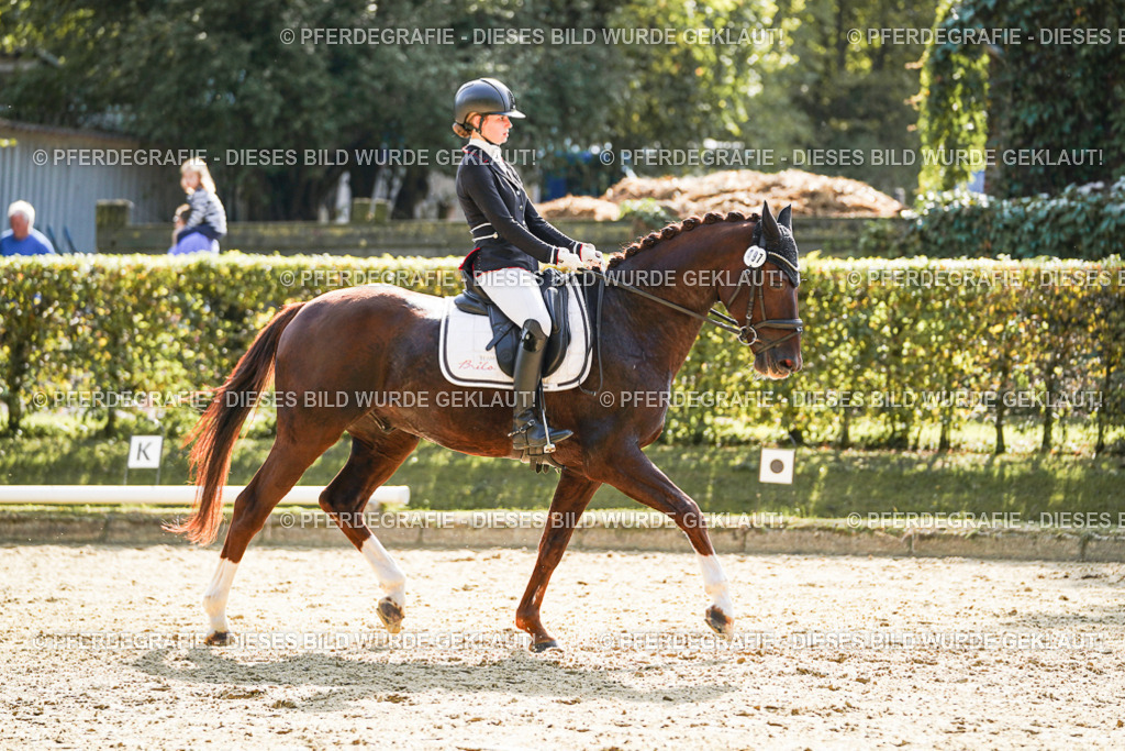 DSC08219 | Pferdegrafie