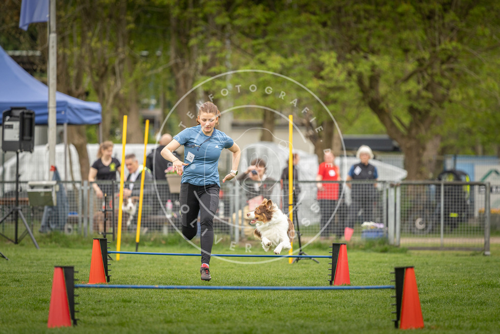Pfotenfotografie_DV3A0882 | Hundefotografie, Tierfotograf, Pfotenfotografie, Fotoshooting Hund, Hunde Portrait, Hundesport, Hundeportraits, Heideshooting, Hunde, Sportfotograf, Hundefotograf, Turnierhundsport, THS,  - Realisiert mit Pictrs.com