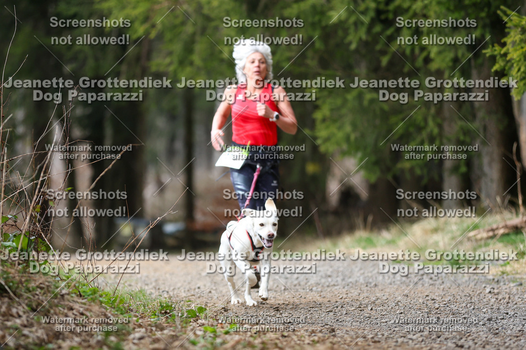 Dog Paparazzi - VCC26-389 | Dog Paparazzi Jeanette Grottendiek Fotografie & Videografie - Realisiert mit Pictrs.com