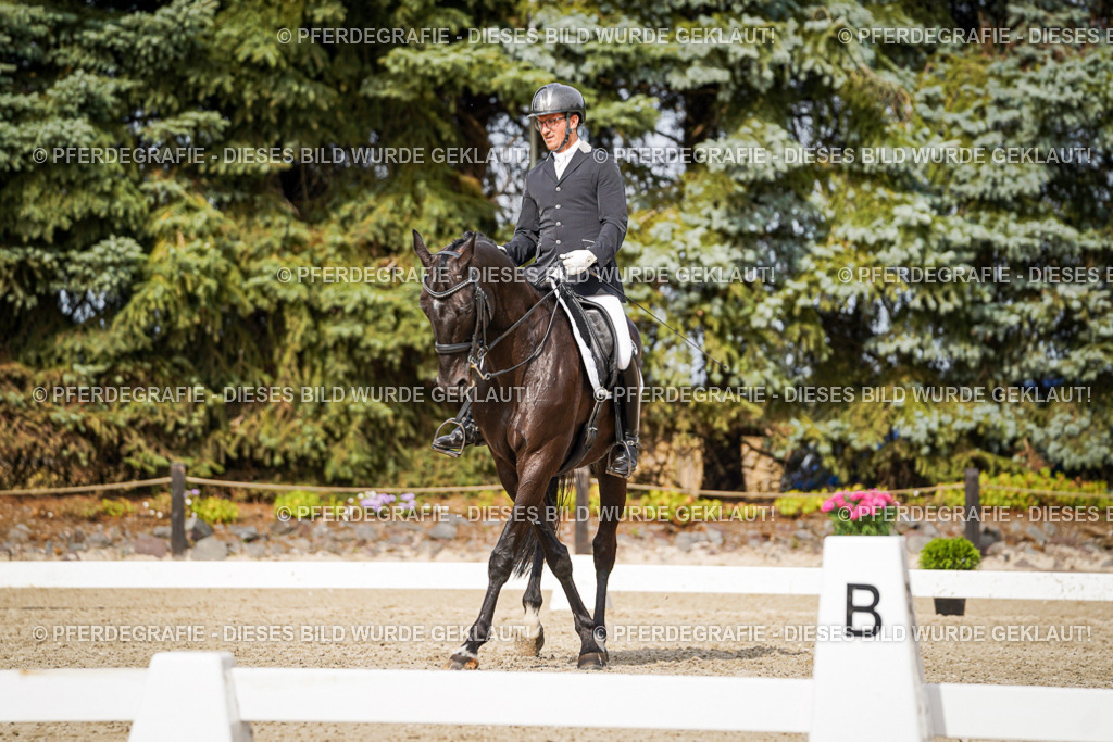 DSC06818 | Pferdegrafie