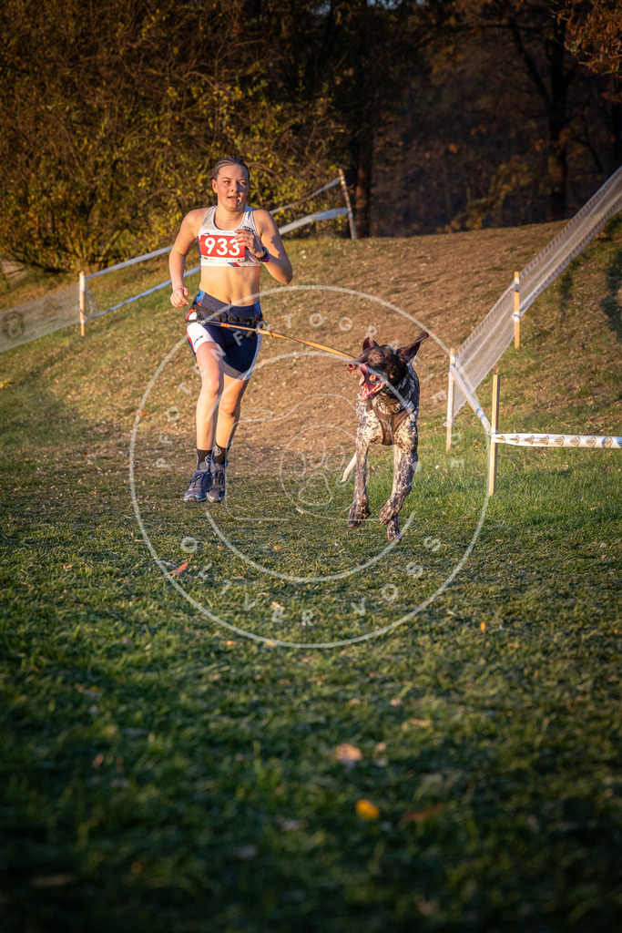 CaniXpix_0L8A1759 | Hundefotografie, Tierfotograf, Pfotenfotografie, Fotoshooting Hund, Hunde Portrait, Hundesport, Hundeportraits, Heideshooting, Hunde, Sportfotograf, Hundefotograf, Turnierhundsport, THS,  - Realisiert mit Pictrs.com