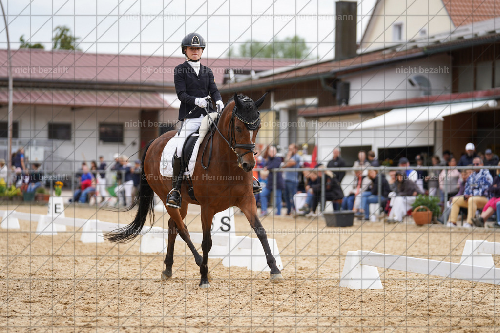20240825-FAH00155 | Turnierbilder, Reitsportfotos, LAPO, Landesponyturnier, Turnierfotografen Bayern