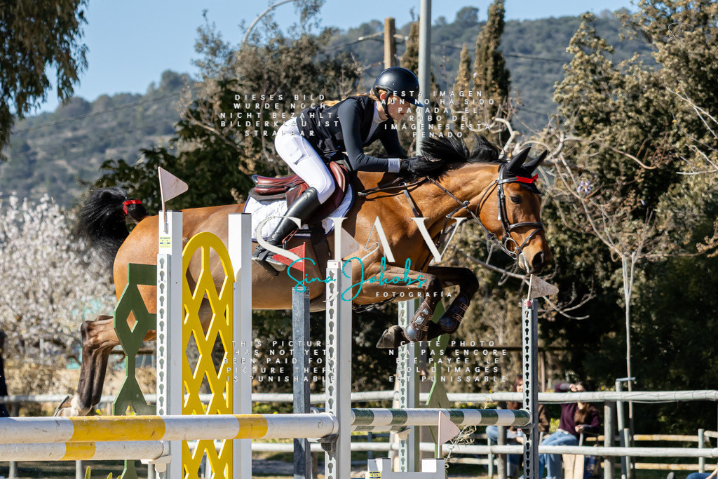 IMG_0896 | s-jay-photography - Realisiert mit Pictrs.com