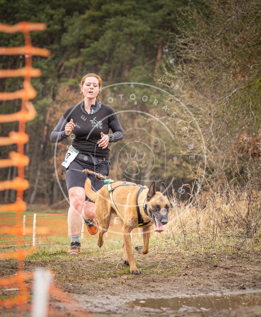 DV3A0530 | Hundefotografie, Tierfotograf, Pfotenfotografie, Fotoshooting Hund, Hunde Portrait, Hundesport, Hundeportraits, Heideshooting, Hunde, Sportfotograf, Hundefotograf, Turnierhundsport, THS,  - Realisiert mit Pictrs.com