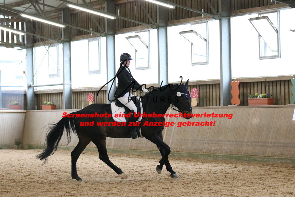 IMG_6906 | lmwpictures - Realisiert mit Pictrs.com