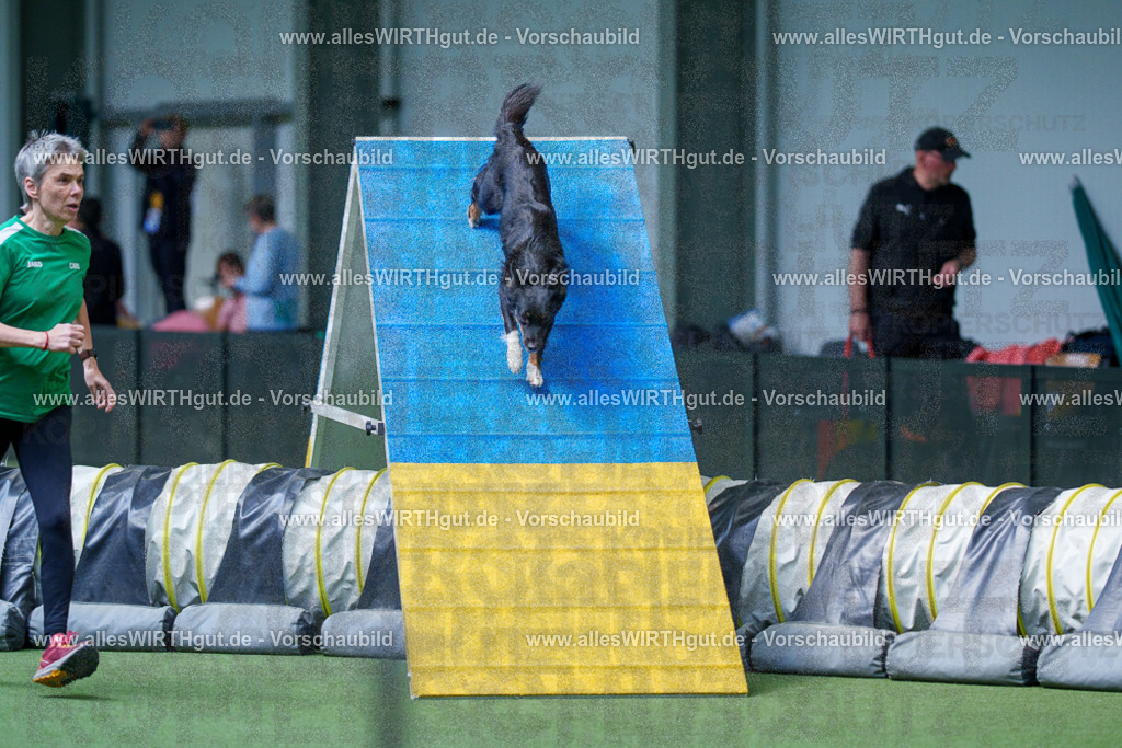 @allesWIRTHgut_Tierfotografie - www.allesWIRTHgut.de - 2604251438-7R505188 | Professionelle Tierfotografie in Mönchengladbach von Daniel Wirth (allesWIRTHgut). Liebevolle & natürliche Bilder von Hunden & Katzen für unvergessliche Erinnerungen.