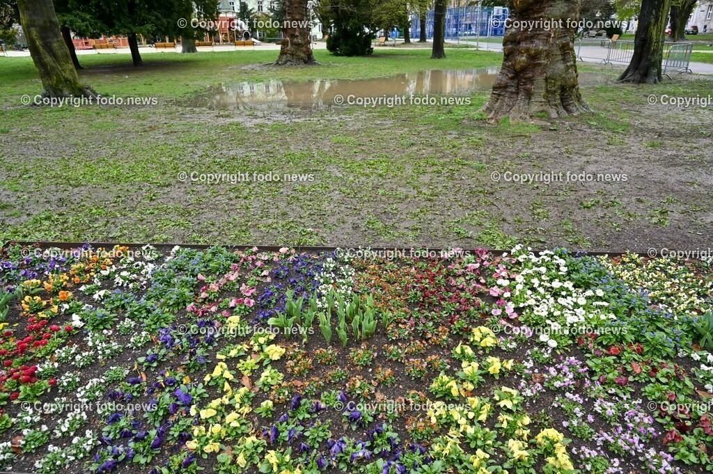 Volksgarten Linz_ 15.04.2023-6 | 15.04.2023, Linz, AUT, Volksgarten, im Bild Volksgarten Linz, Gruenanlage, Park