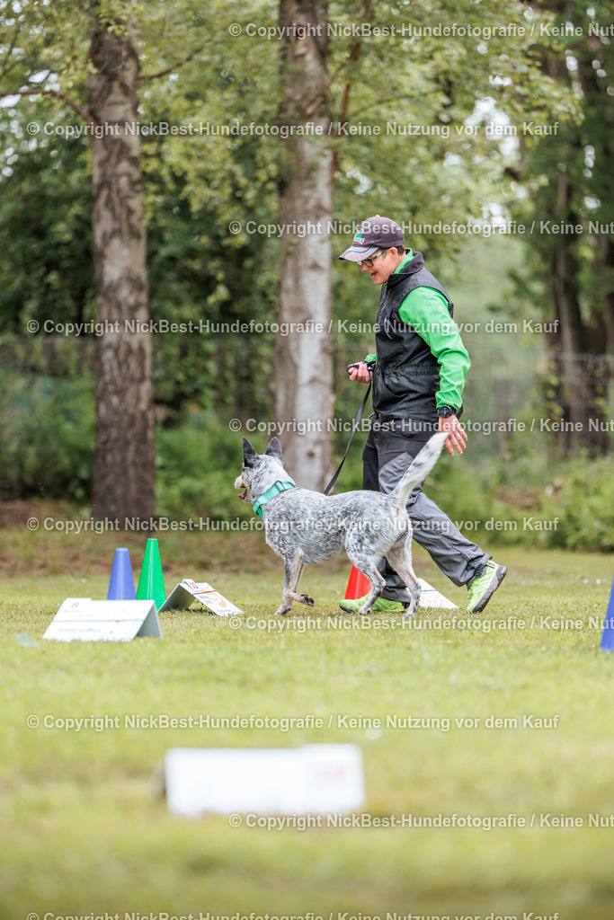 RO-Blumenthal-2026-Nickbest-Hundefotografie-5380 | Dein Hund! Dein Moment! Deine Erinnerungen! Hundefotografie in Bremen Blumenthal. Ich fange die besonderen Momente deines Vierbeiners ein – ob Indoor mit Blitzanlage oder in der freien Natur. Sicher dir dein Moment und dein Termin für eure Erinnerungen.