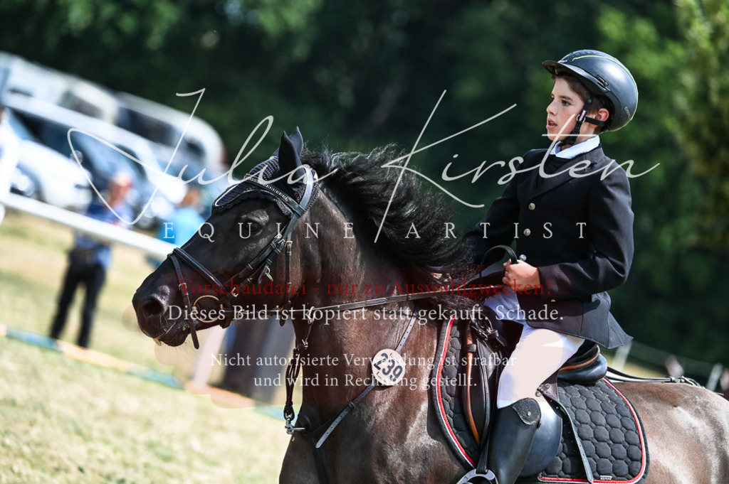 DSC_9776 | Pferde- und Turnierfotografie in Westsachsen. Pferdeportraits, Auftragszeichnungen und intuitive Kunst.