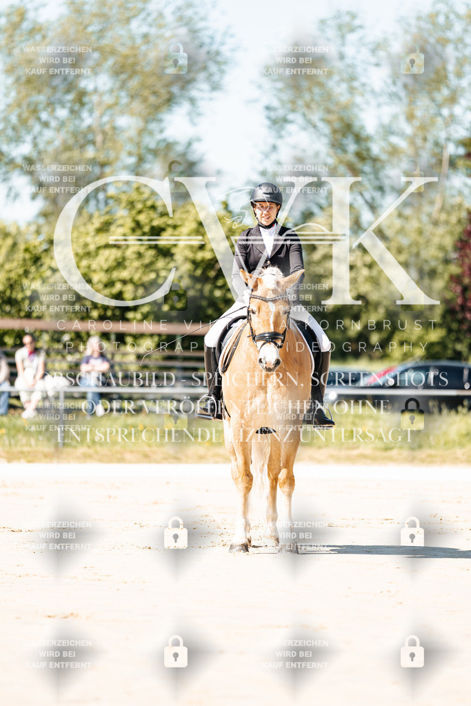 CK904905 | Turnierfotografie Pferdefotografie Trier Rheinland-Pfalz Pferdesport Reitsport Tierfotografie Sportfotografie Pferdevideo Pferdevideografie Equestrianvideography equestrianphotography  - Realisiert mit Pictrs.com