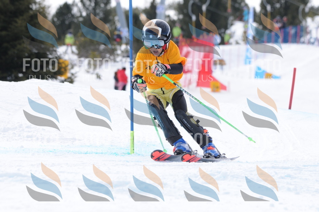 C7590 | holidayphoto